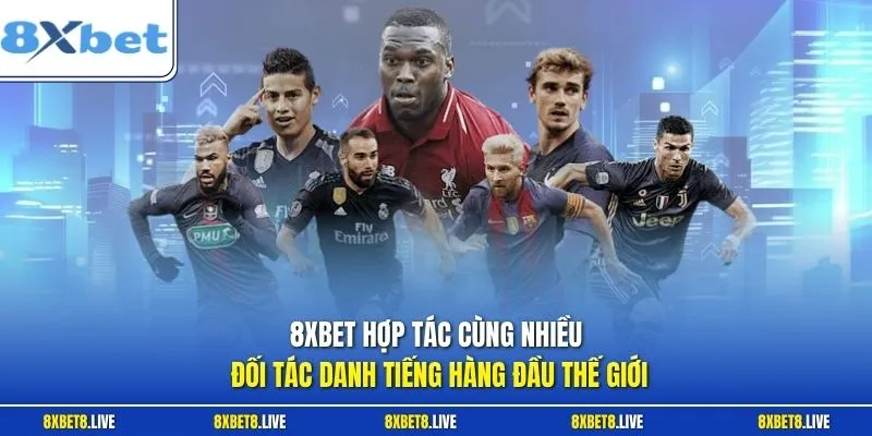 8xbet hợp tác cùng nhiều đối tác danh tiếng hàng đầu thế giới