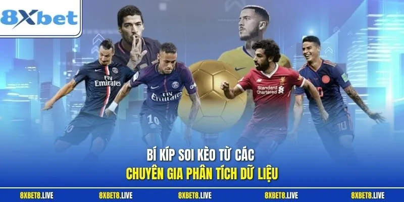 Bí kíp soi kèo từ các chuyên gia phân tích dữ liệu