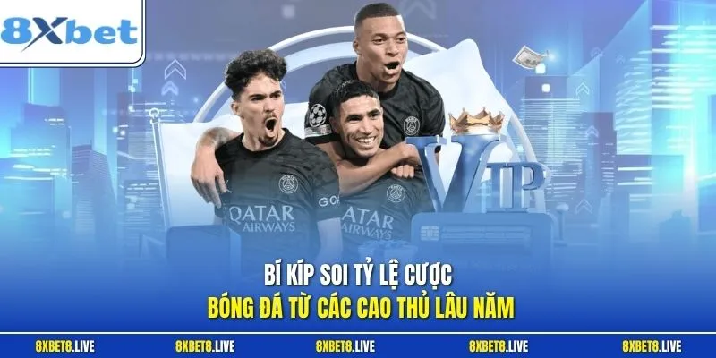 Bí kíp soi tỷ lệ cược bóng đá từ các cao thủ lâu năm