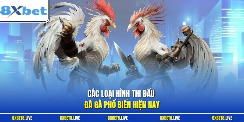 Đá gà C3 hiện nay mang đến trải nghiệm vượt trội