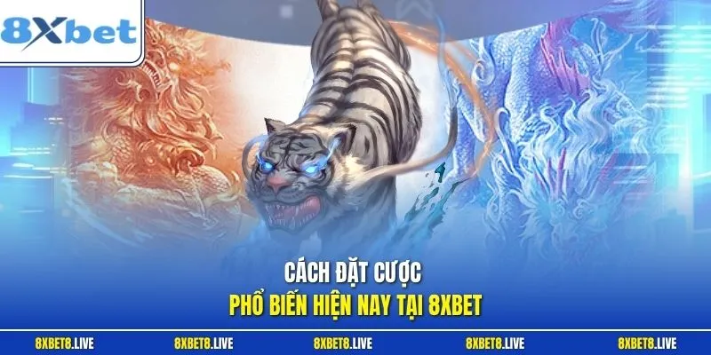 Cách chơi rồng hổ giúp khả năng chiến thắng tăng đáng kể