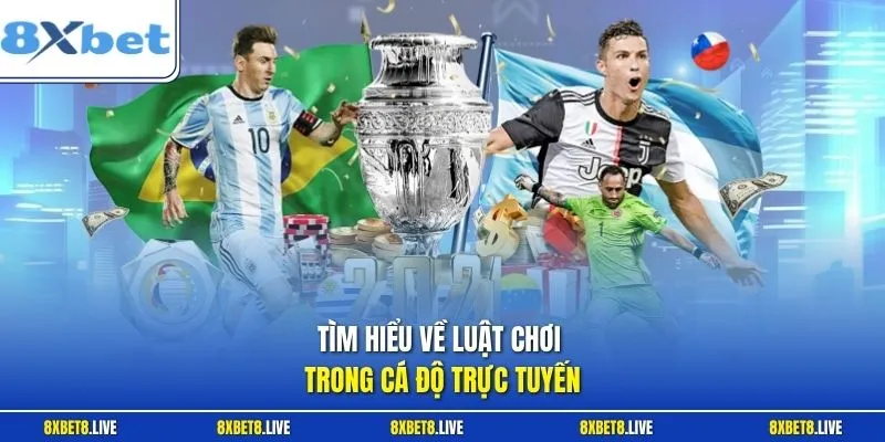 Tìm hiểu về luật chơi trong cá độ trực tuyến