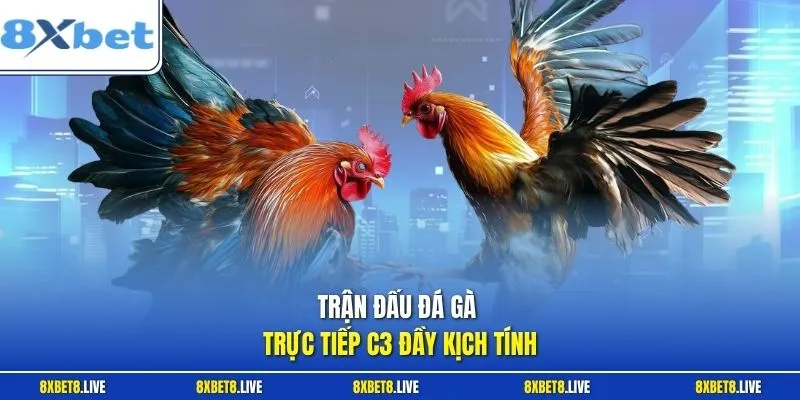 Mỗi hình thức đấu trong giải đều mang đặc trưng riêng